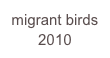 migrant birds
2010